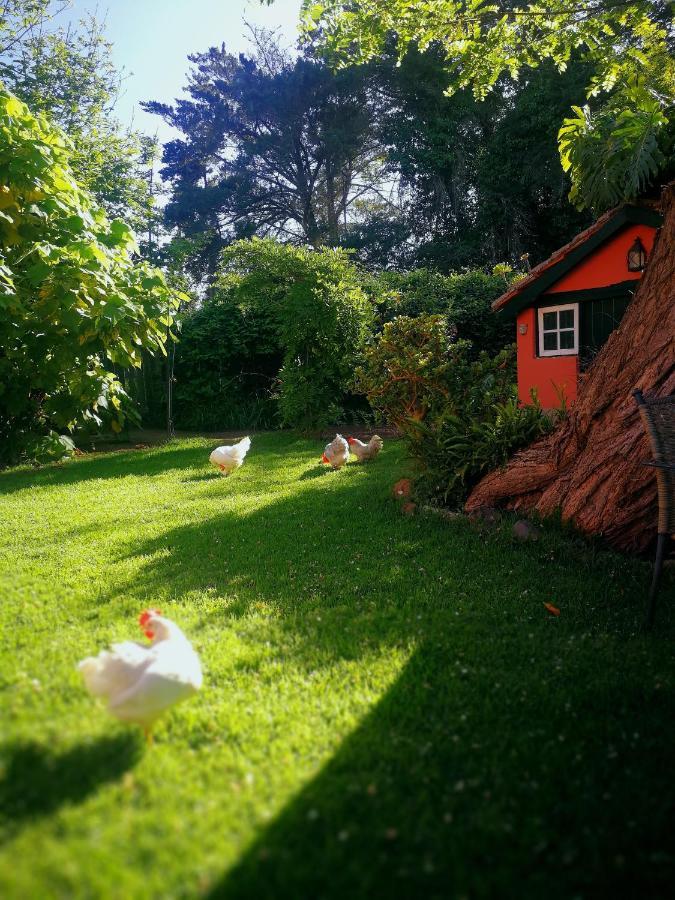 Jardines De Hortensia - Vacation Home Tenerife Сан-Кристобаль-де-Ла-Лагуна Экстерьер фото