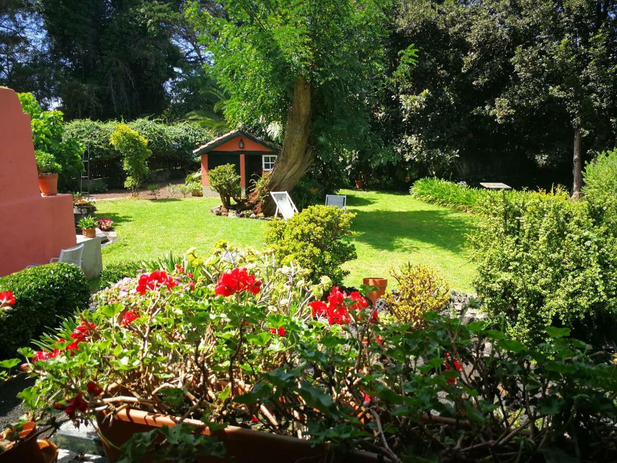 Jardines De Hortensia - Vacation Home Tenerife Сан-Кристобаль-де-Ла-Лагуна Экстерьер фото