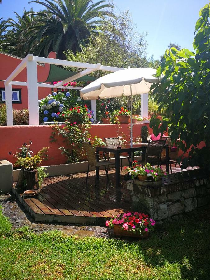 Jardines De Hortensia - Vacation Home Tenerife Сан-Кристобаль-де-Ла-Лагуна Экстерьер фото