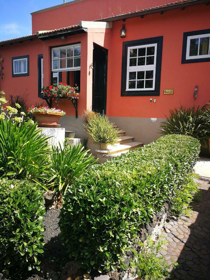 Jardines De Hortensia - Vacation Home Tenerife Сан-Кристобаль-де-Ла-Лагуна Экстерьер фото
